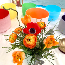 Claudia Kaminski Coaching EMDR Gongbad Berlin Gong-Klangbad Coach