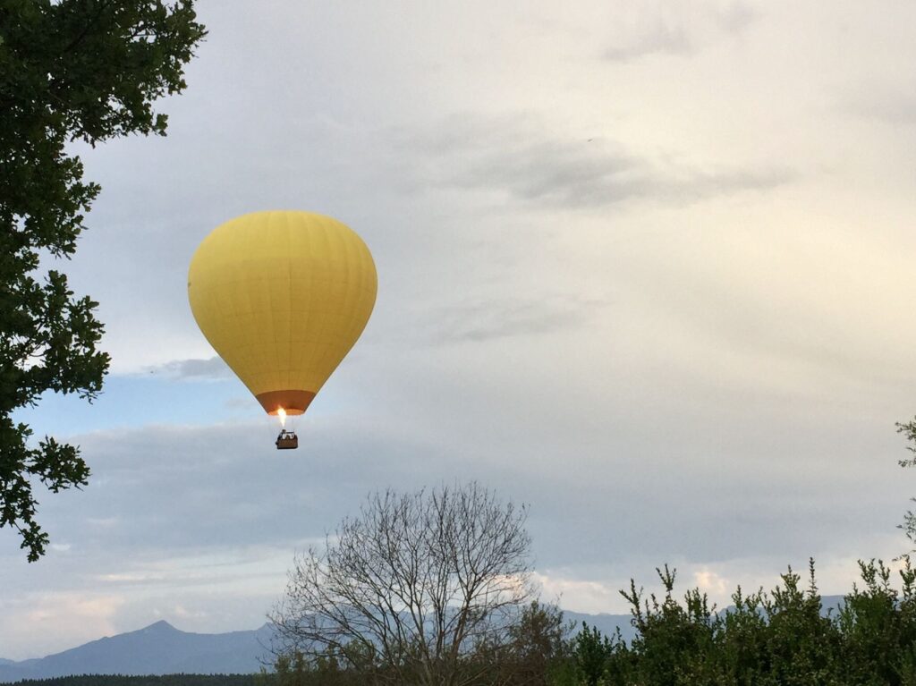Coaching Berlin Claudia Kaminski EMDR